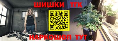 шишки Новокубанск