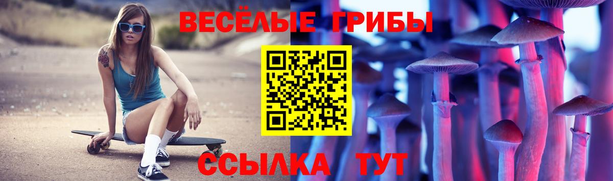 купить наркотик  Вход с VPN  Переславль-Залесский  Галлюциногенные грибы Cubensis 